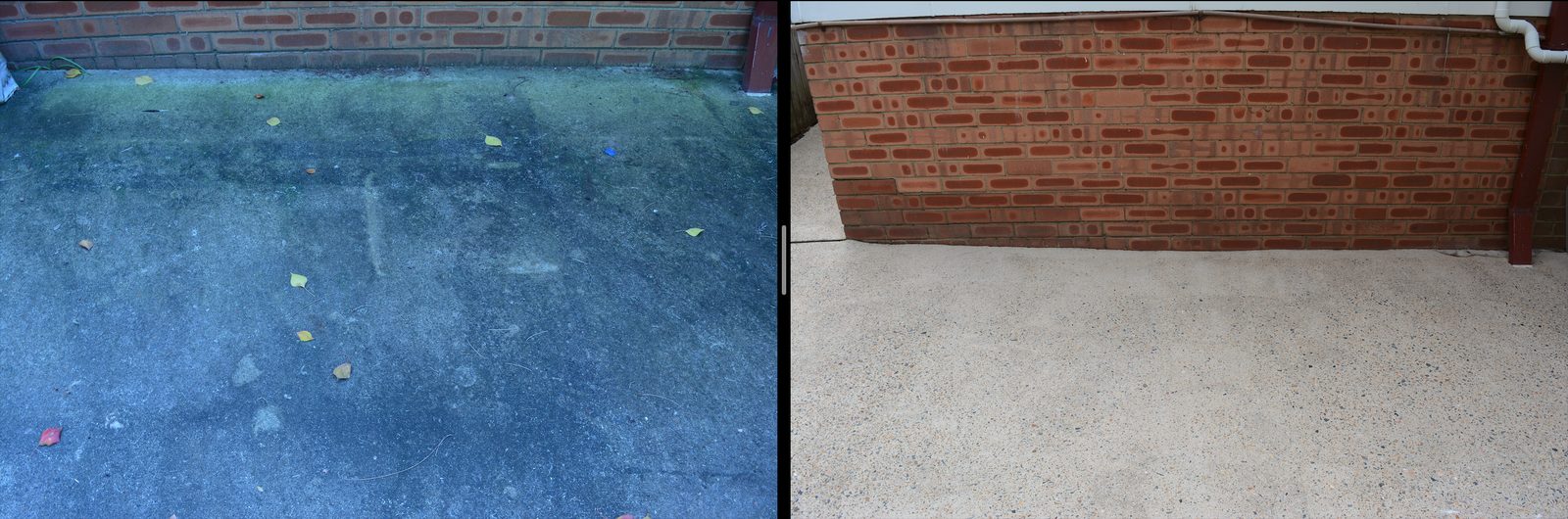 Mould treatment before and after on concrete